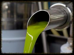 Olive Oil Buyers Guide