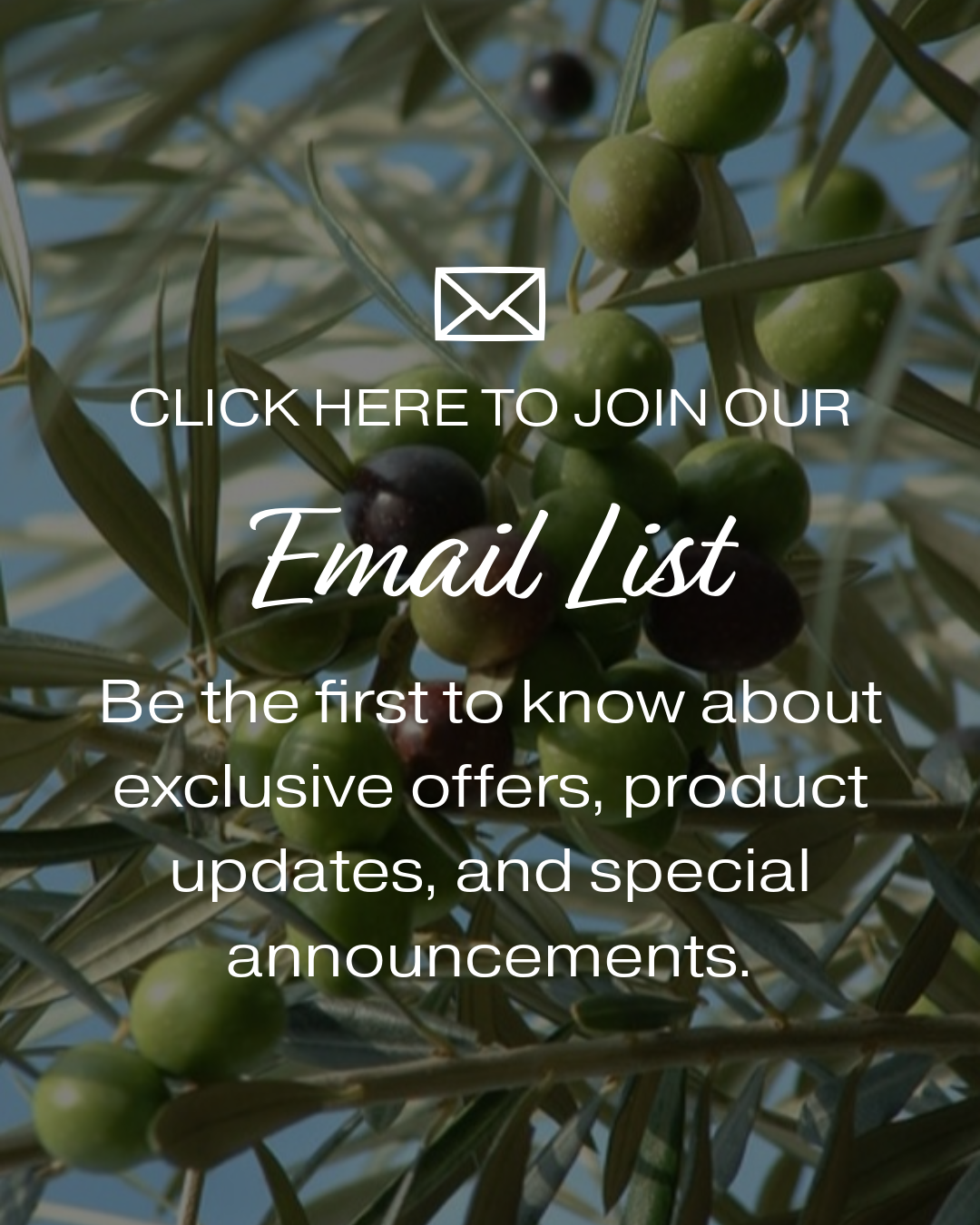 EVOO Marketplace email list for specials, product announcements