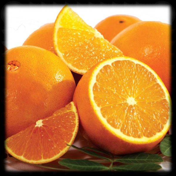 Navel Orange(MALTA)